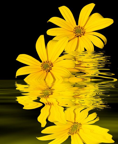 Gelbe Blüten van Martina Fornal