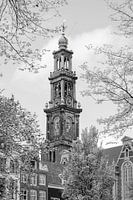 Westerkerk. Jordaan. Amsterdam.