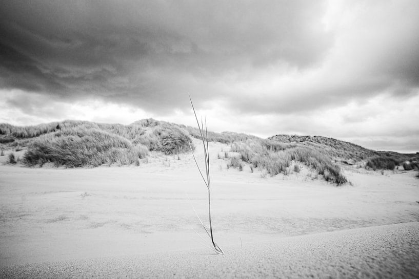 State of Domburg by jimmy verhoeven