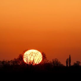 Sonnenuntergang auf Fehmarn von Stephan Zaun