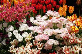 Flower bed with soft colours by Mees van der Wiel