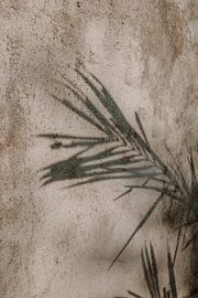 Schaduw plant | mediterraans