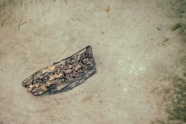 Automne dans l'eau 2