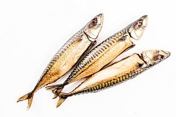 three lying mackerels on a white background by MICHEL WETTSTEIN
