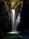 Wasserfall auf Bali..... von Wim Schuurmans Miniaturansicht
