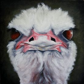 struisvogel van Andrea Meyer
