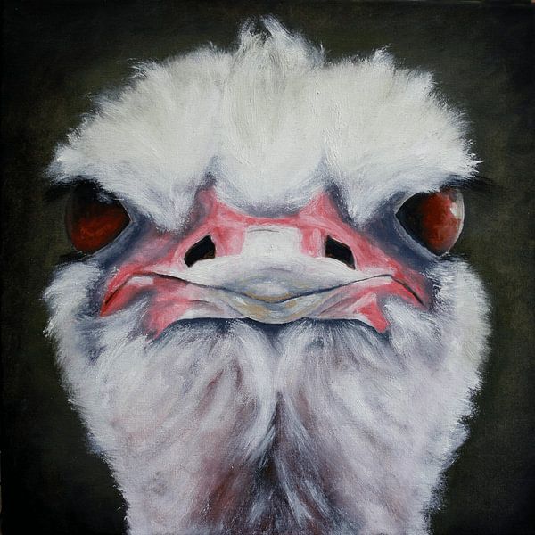 struisvogel van Andrea Meyer