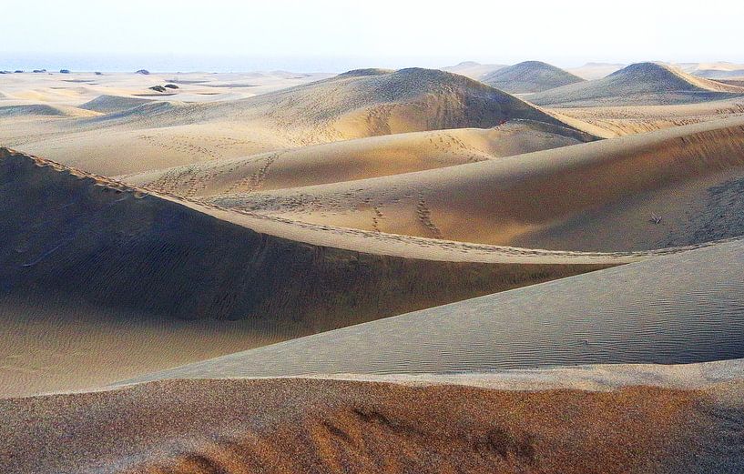 Dunes of Gran Canaria by Marjo Snellenburg