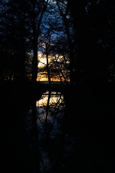 L&#039;œil de la nature par Jammiesfotos