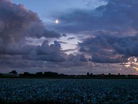 Hollandse avondlucht von Dionne Houter-Pool