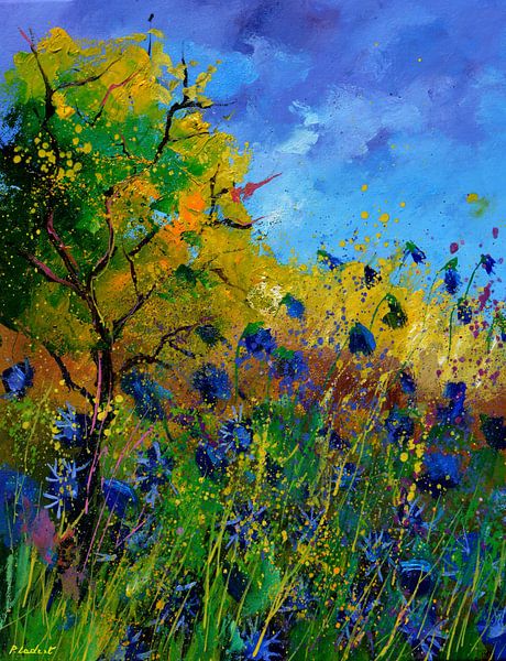 cornflowers 813050 van pol ledent