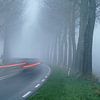 Snelheid op een mistige winterse dijk met kale bomen van Gert van Santen
