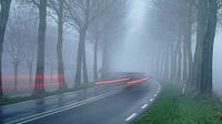 Snelheid op een mistige winterse dijk met kale bomen van Gert van Santen thumbnail