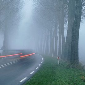 Geschwindigkeit auf einem nebligen Winterdeich mit kahlen Bäumen von Gert van Santen