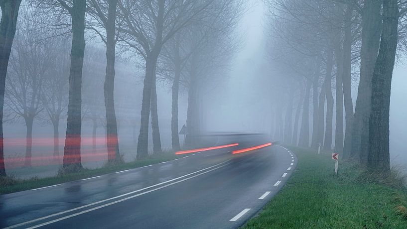 Snelheid op een mistige winterse dijk met kale bomen van Gert van Santen