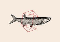 Fish In Geometrics Nº2