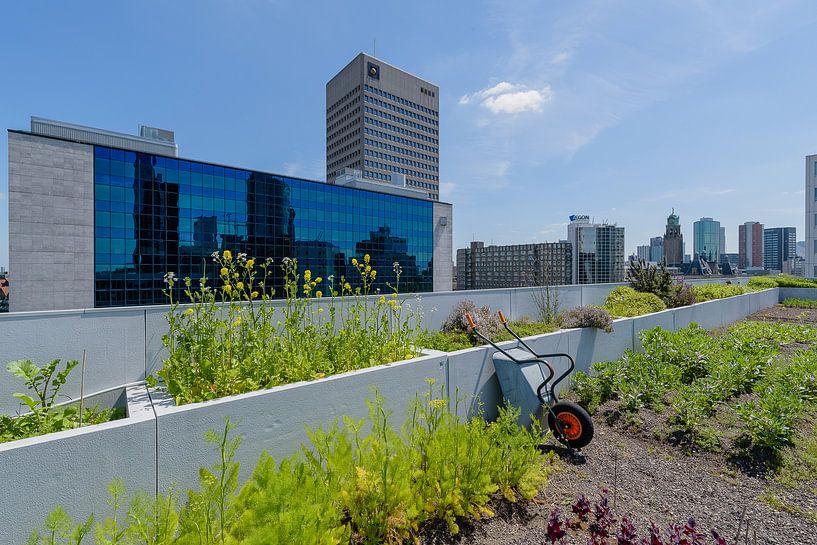 Rotterdam Zentrum, DakAkker Südholland, Niederlande von Martin Stevens