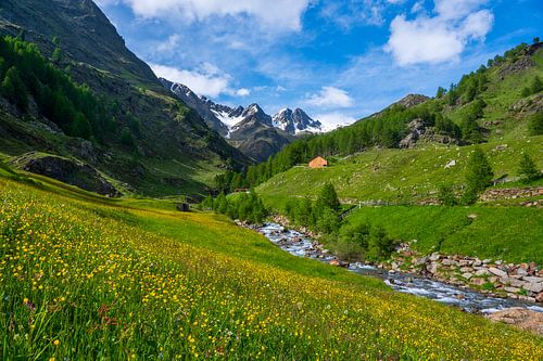 Alpien berglandschap langs de Timmelsjoch hooggebergte pa