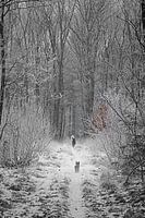 Don't leave me alone in the forest....