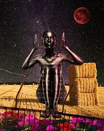 Mysterious lady by Milan Lagerwerf