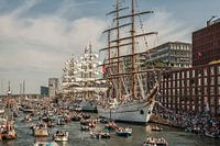 Sail Amsterdam 2015