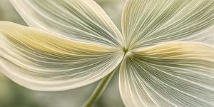 Blume in Dunkelgrün