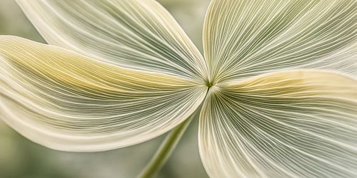 Bloem in donkergroen