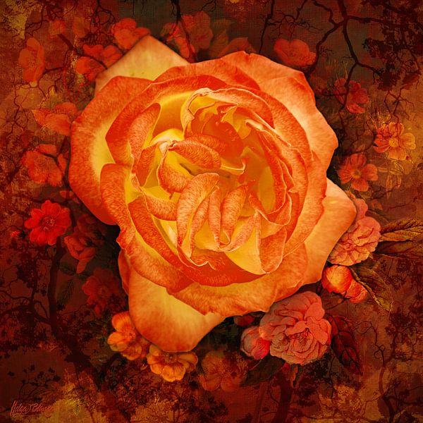 Orangefarbene Rose auf einem floralen, orangefarbenen Hintergrund. von Helga Blanke