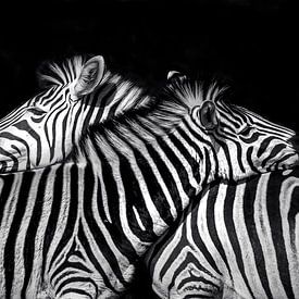 Ich halte dir den Rücken frei (Zebra) von Petra Lakerveld