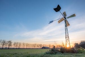 Windmolen in het weiland van Moetwil en van Dijk - Fotografie