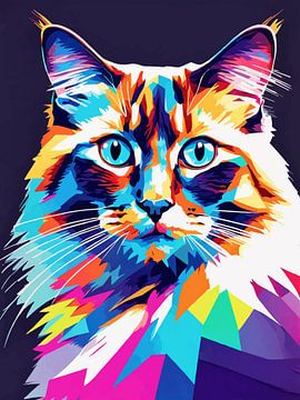 Ragdoll kat Pop Art 2 van MIROKKU