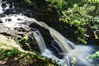 Podda Falls near Glen Affric in Scotland von Floris van Woudenberg Miniaturansicht