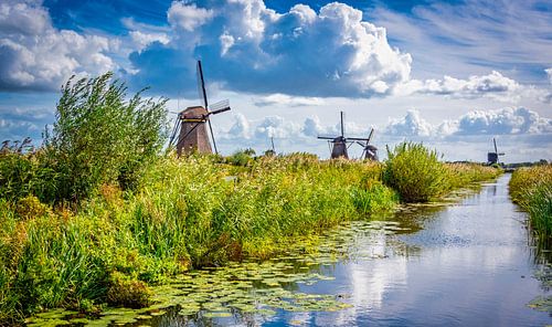 Molens langs de waterkant bij Kinderdijk, Nederland