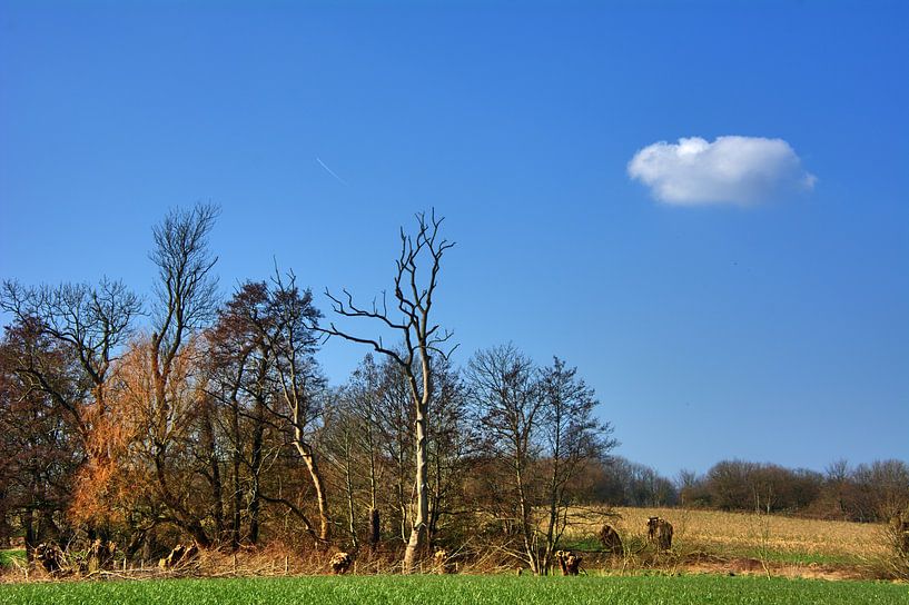 un seul nuage dans le ciel par Edgar Schermaul