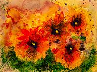 Blüten in gelb und rot