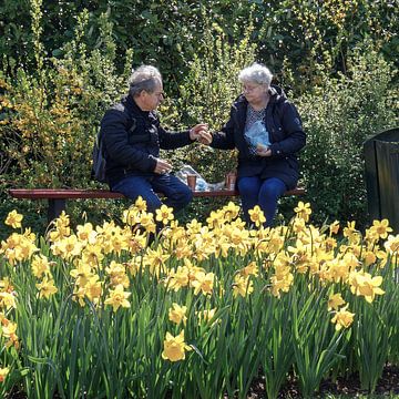 Een typisch Hollands tafereeltje op de Keukenhof. van Wim van Gerven