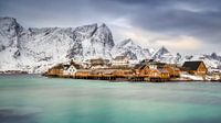 Winter op Sakrisøy, Lofoten, Noorwegen van Adelheid Smitt thumbnail