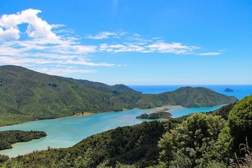 Marlborough Sounds from New Zealand by Lizette Schuurman