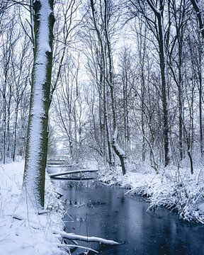 Winterwonderland in The Netherlands van Sonny Vermeer