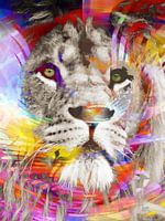 Rainbow King