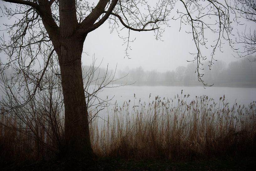 Foggy view by Jaap Kloppenburg