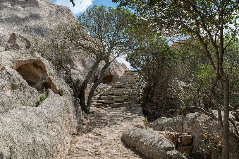 stairs and rocks with trees in garden by ChrisWillemsen