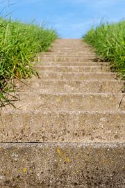 Trap by Marcel van der Voet