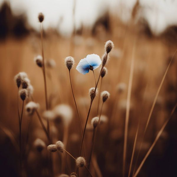 Blue Corn Flower No 6 by Treechild