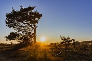 Coucher de soleil magique