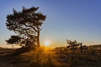 Magischer Sonnenuntergang