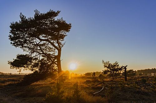 Magische Zonsondergang