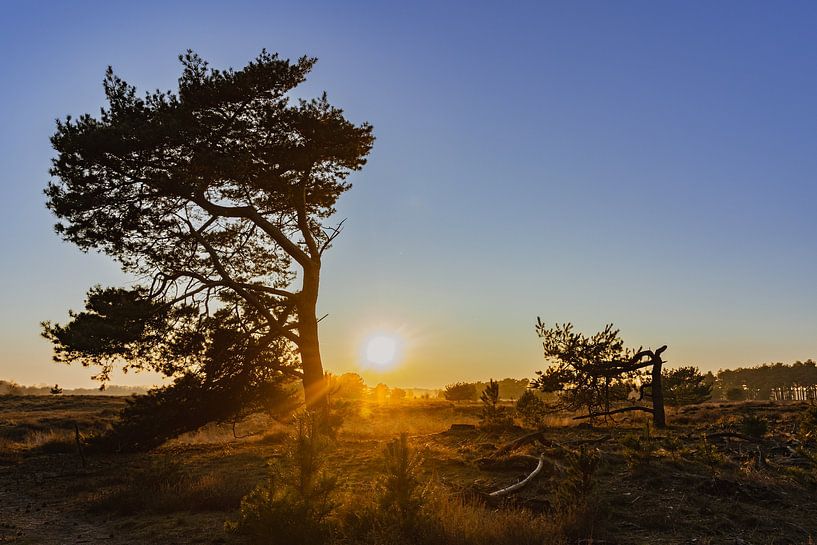 Magical Sunset by Anouk Peeters