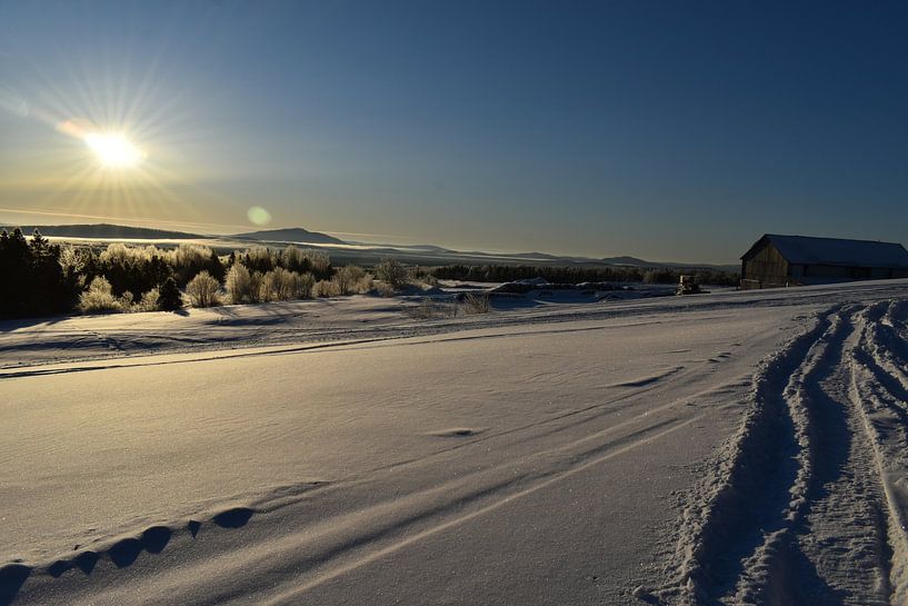 Ein Sonnenaufgang an einem kalten Morgen von Claude Laprise