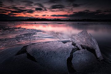 Winter in de Biesbosch